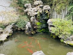 -上海醉白池公园
