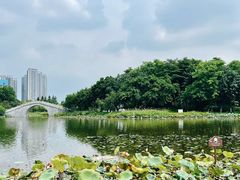 -映月湖公园