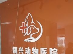 -瑞派福兴宠物医院犬猫全科·骨科·中西医结合(河东店)