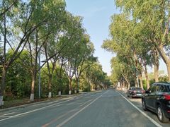 -吉林大学(南岭校区)