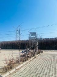 -蓝呗呗蓝莓草莓采摘园(通州区马驹桥店)