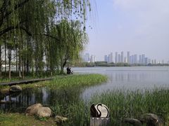 -渤公岛生态公园