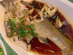 -闫水饺大酒楼·北京老闫靓马饺子馆