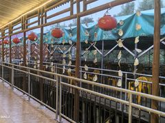 -崖口红树林海鲜餐厅
