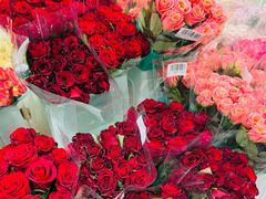 -山姆会员商店(上海浦东店)