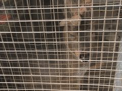 -北京市海淀外国语实验学校