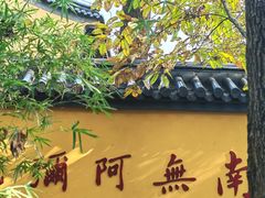 -灵谷景区