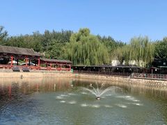 -尚庄度假村·庭台树下·户外烧烤·团建CS·轰趴营地(上庄水库店)