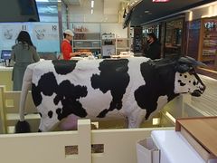 -红星前进面包牛奶公司(君太店)