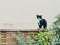 -肯德基(杭州复兴店)