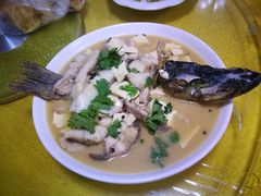 -煲来饱去冷水鱼