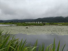 -腾冲北海湿地