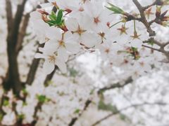 -同济大学(嘉定校区)