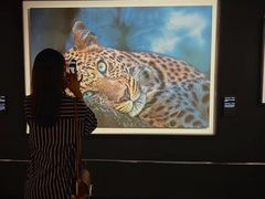 -罗红摄影艺术馆