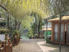-张鸟园农家乐(张鸟园店)