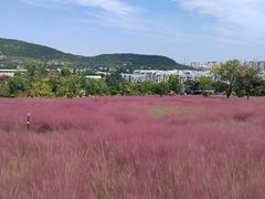 -枣庄开元凤鸣山庄·中餐厅