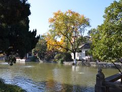 -南京中国近代史遗址博物馆(南京总统府)