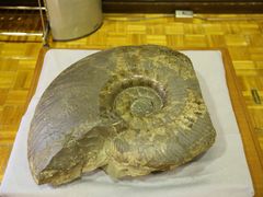 -北海道厅旧本厅舍(旧本庁舎)