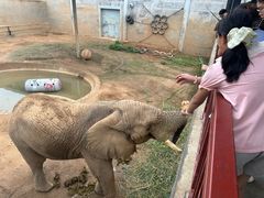-西霞口神雕山野生动物世界