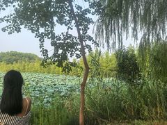-南湖湿地公园
