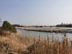 -苏州太湖湖滨国家湿地公园