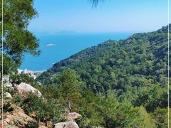 -广东惠东海龟国家级自然保护区