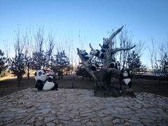 -太原动物园
