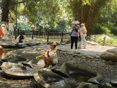 -成都市活水公园