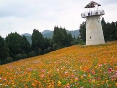 -中国香山·寿香谷