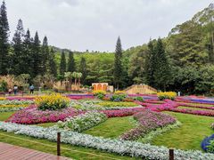 -深圳仙湖植物园