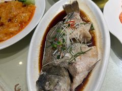 -西兰轩清真菜馆(北顺城街店)