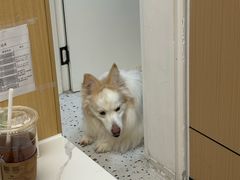 -瑞派康怡24h宠物医院·犬猫医疗中心·微创绝育(瑞景分院)