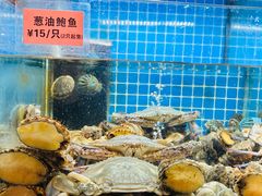 -涌觅名灶·本地海鲜宁波菜(财富广场店)