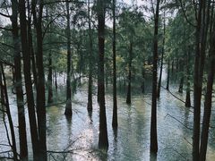 -青山湖景区