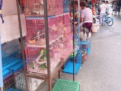 -清平路水族市场