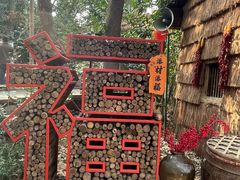 -天目湖山水园