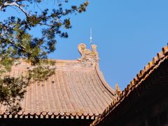 -故宫博物院(故宫)