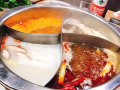 -彤德莱(奥林店)