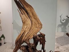 -吉林市博物馆