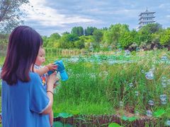 -Supine Bistro溯泮餐厅