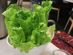-陈记顺和潮汕牛肉火锅(番禺迎宾大道店)