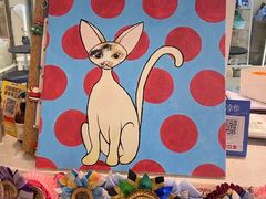 -momokira米努特·德文卷毛猫·棉花面纱犬