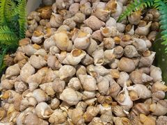 -星伦多自助料理·涮烤一体(虹悦城店)