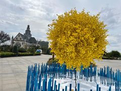 -荷兰花海