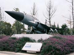 -成飞公园