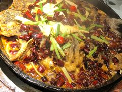 -老板恋上鱼(恒隆广场店)