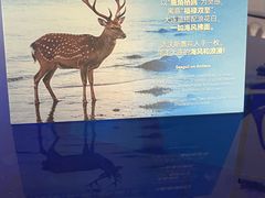 -大连美术馆