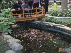 我也传一张-绿色时代大酒店