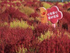 -天津东丽湖风景区