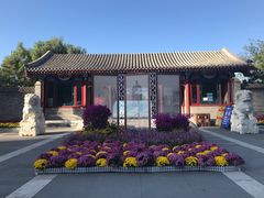 -西海子公园